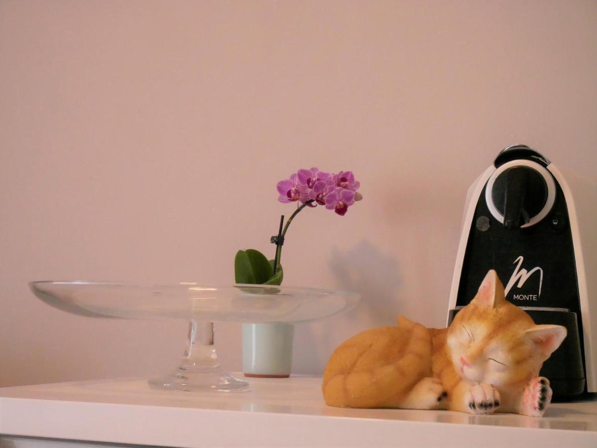 Apartments Kety 로비니 외부 사진